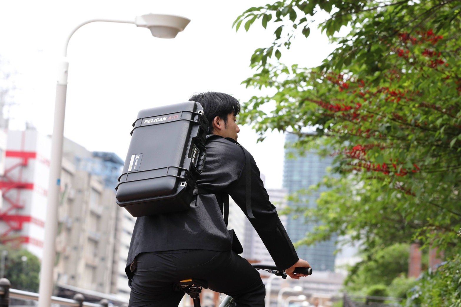 Safari Line Collectionリリース