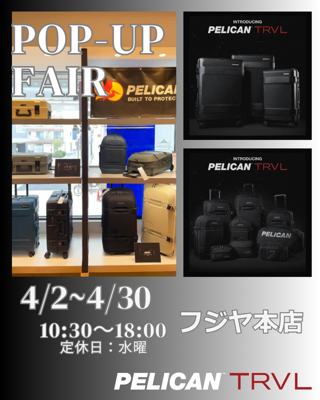 Pelican TRVL ポップアップ@フジヤ本店 開催